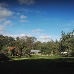 Emplacement sans électricité au Camping La Clairière du Verbamont