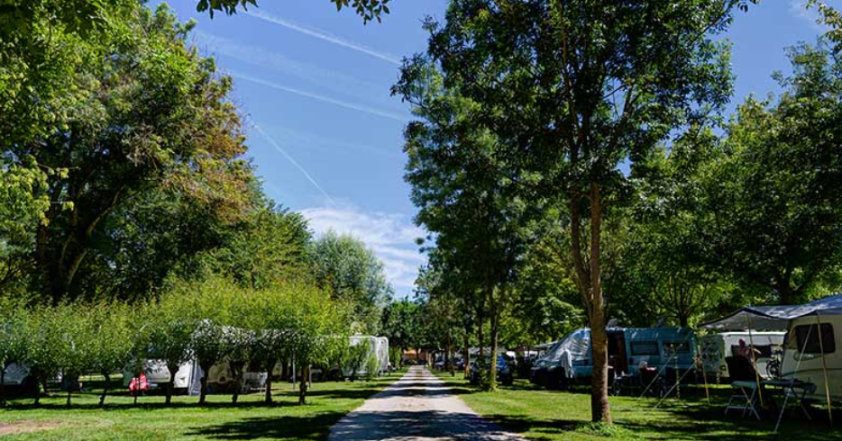 Emplacement Confort (1 voiture) avec électricité 10A pour tente, camping-car ou caravane