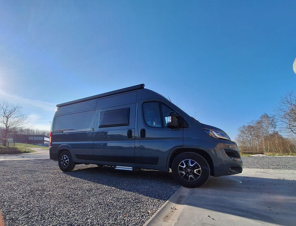 Roller Team Livingstone 5 - Belgique