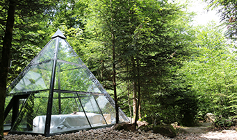 Camping Domaine de Langatte