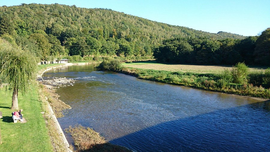 Emplacement de camping dans les Ardennes Belges - Camping les Bouleaux