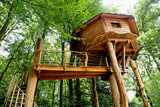 Cabane dans les arbres-La ferme de l'aventure